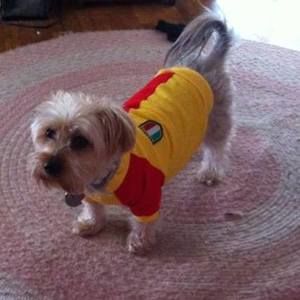 Meet your Posher, Anna